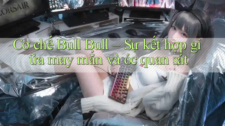 Cơ chế Bull Bull – Sự kết hợp giữa may mắn và óc quan sát Cơ chế Bull Bull – Sự kết hợp giữa may mắn và óc quan sát