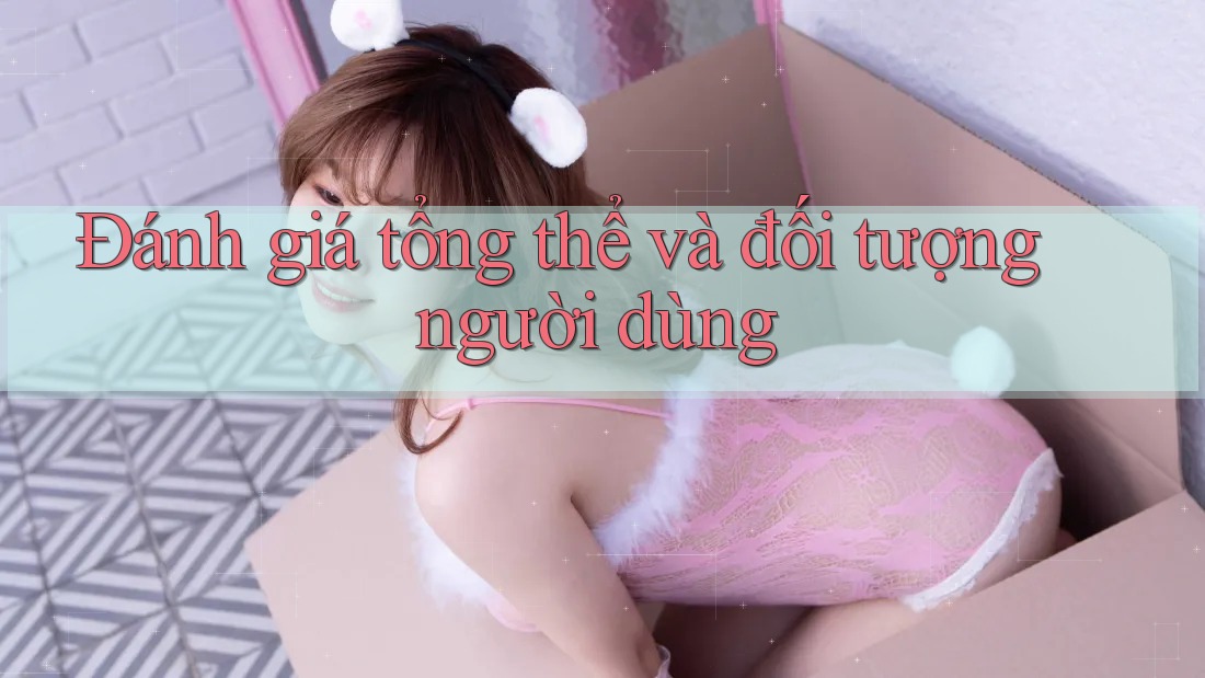 Đánh giá tổng thể và đối tượng người dùng Đánh giá tổng thể và đối tượng người dùng