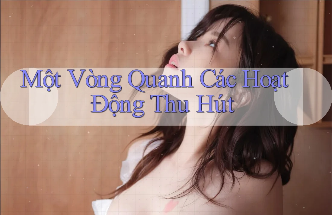 Một Vòng Quanh Các Hoạt Động Thu Hút Một Vòng Quanh Các Hoạt Động Thu Hút