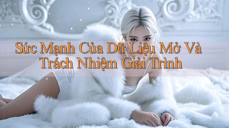 Sức Mạnh Của Dữ Liệu Mở Và Trách Nhiệm Giải Trình Sức Mạnh Của Dữ Liệu Mở Và Trách Nhiệm Giải Trình