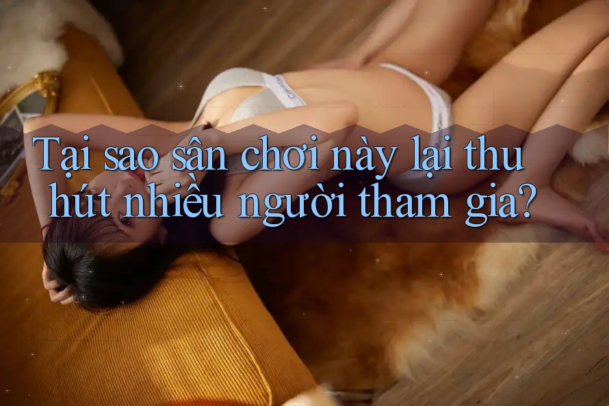 Tại sao sân chơi này lại thu hút nhiều người tham gia? Tại sao sân chơi này lại thu hút nhiều người tham gia?
