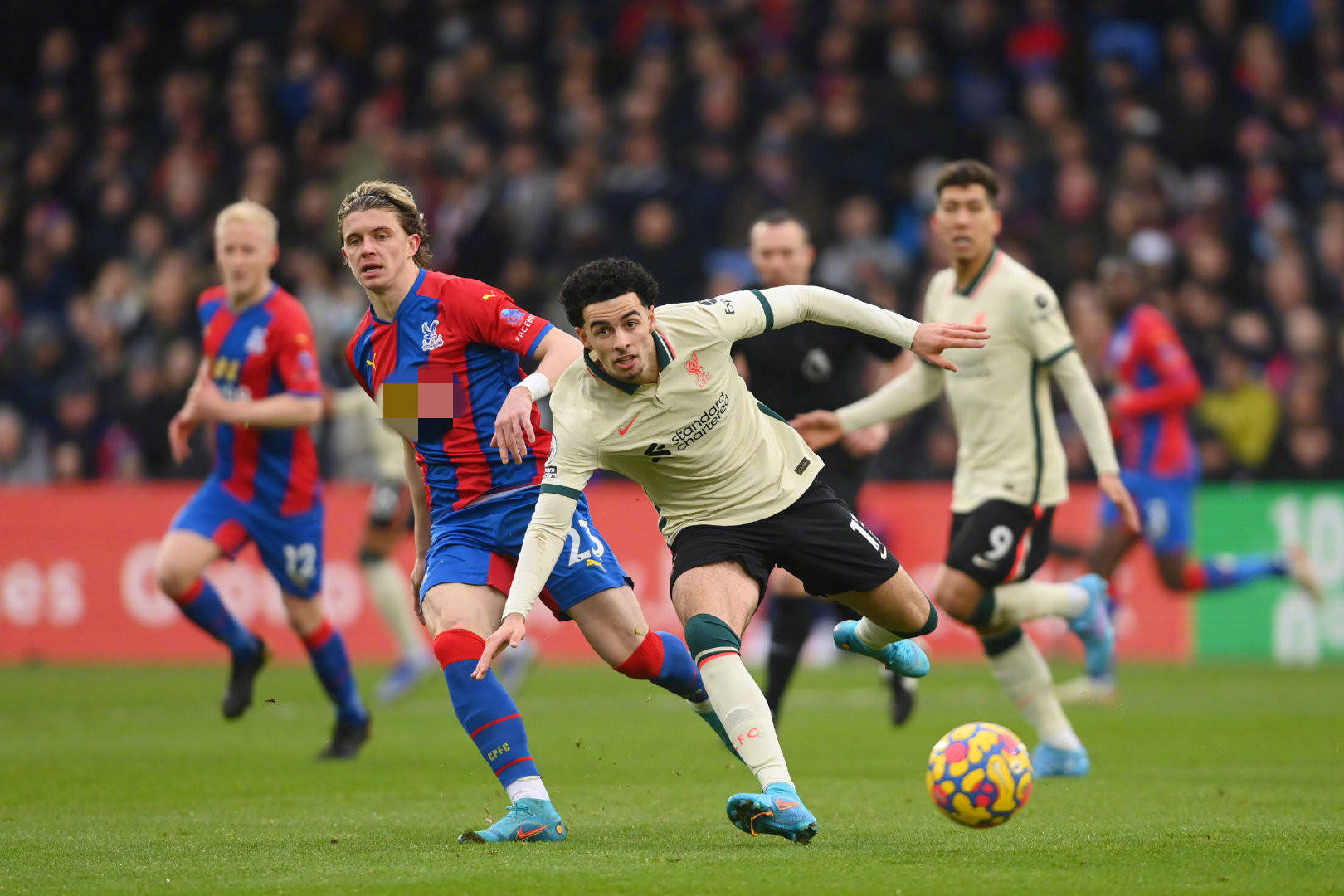 也为政府履 也为政府履