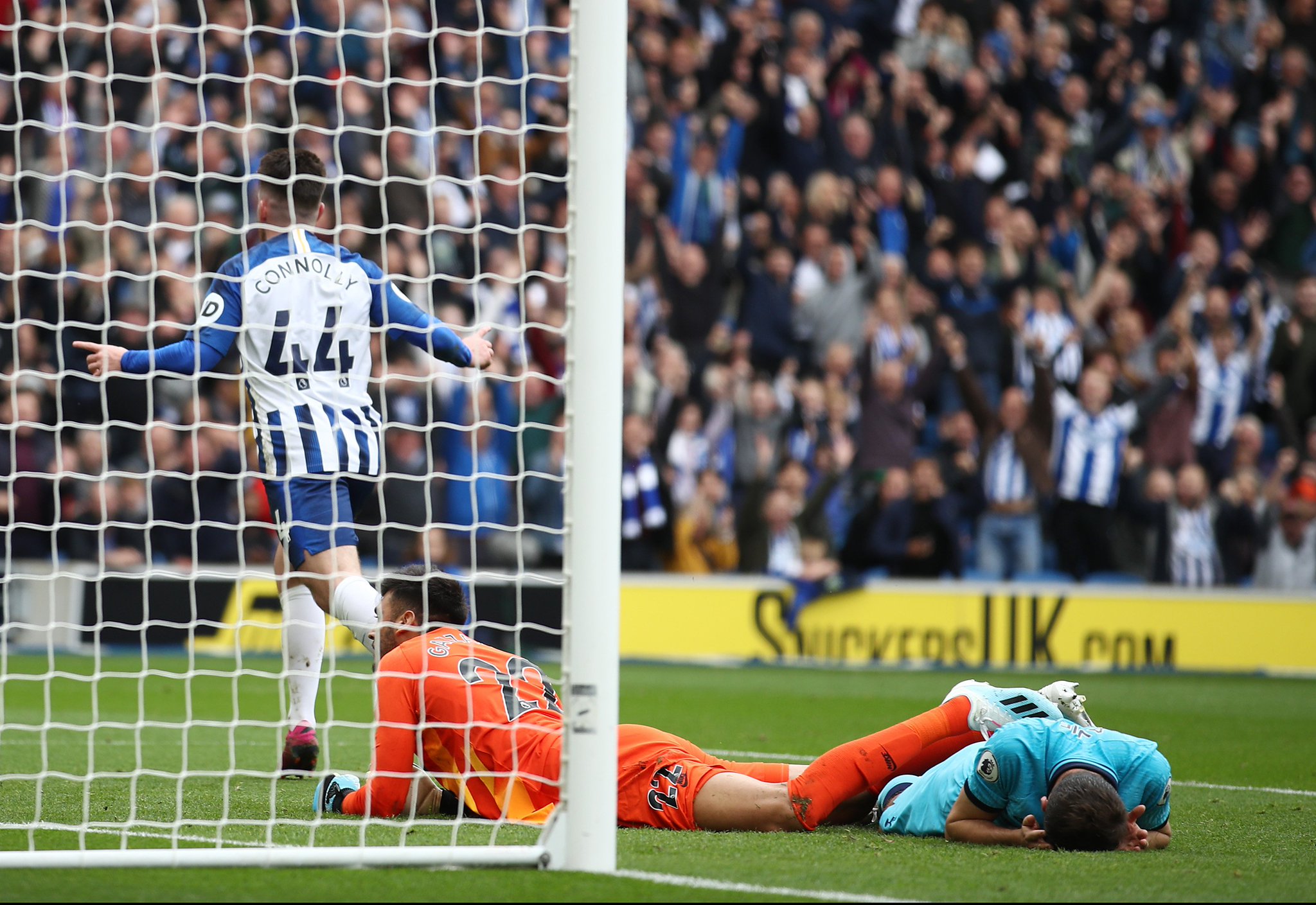 士的关注 士的关注